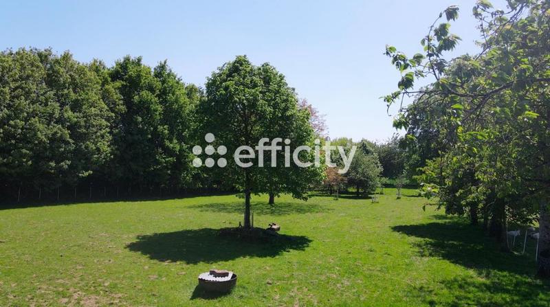 Maison de domaine équestre - 165 m² - 8 pièces