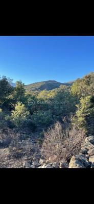 Terrain agricole - 6 500 m²