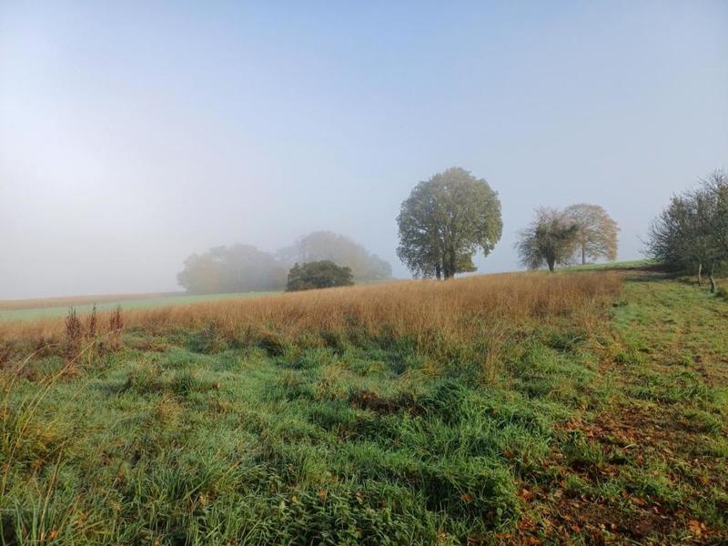 Propriété - 98 m² - 5 pièces