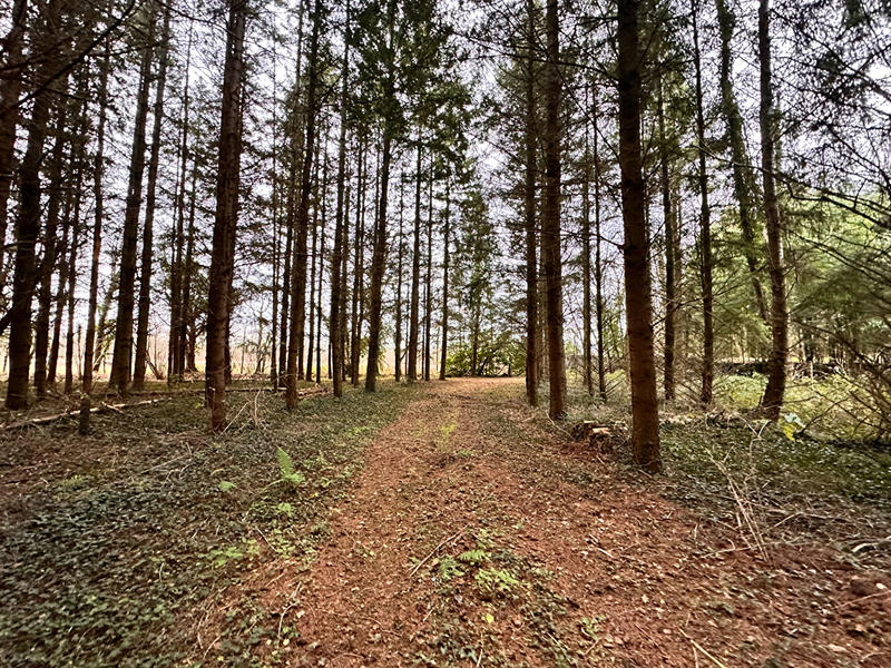 Terrain de loisirs - 23 143 m²