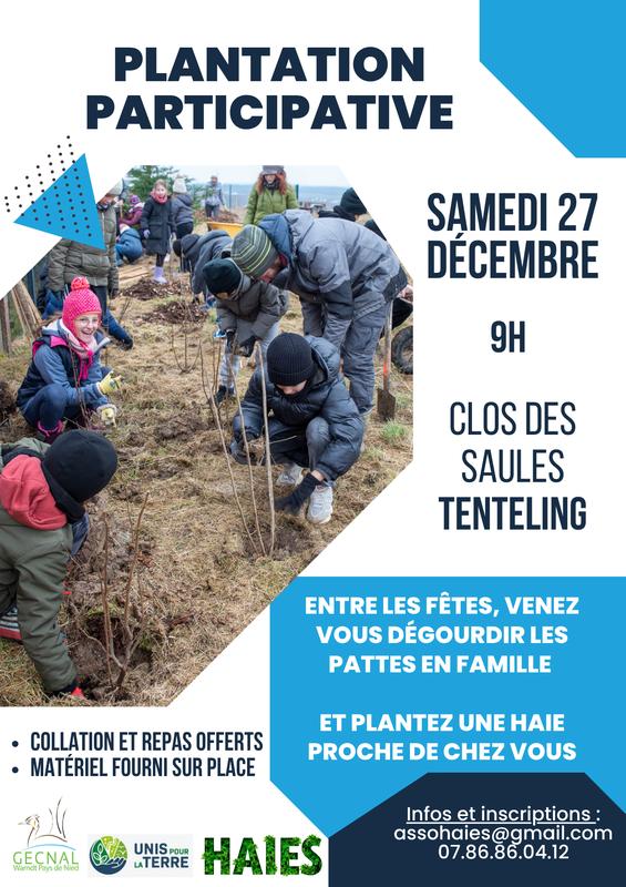 Plantation participative d'arbres