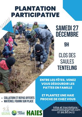 Plantation participative d'arbres