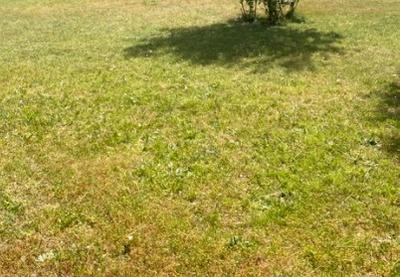 Terrain constructible - 431 m²