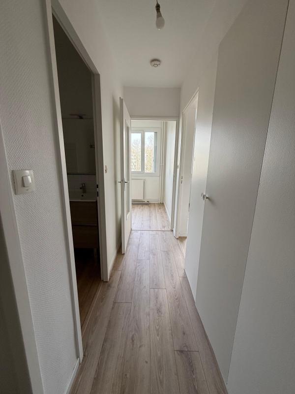 Studio - 31 m² - 1 pièce