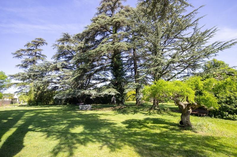 Manoir - 750 m² - 40 pièces