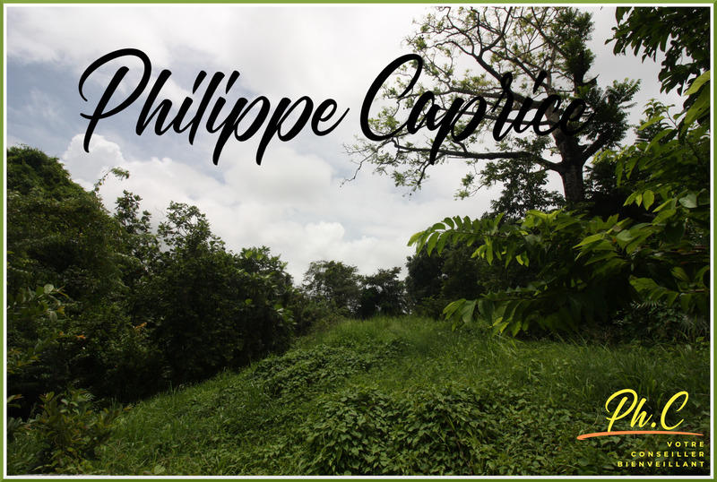 Terrain constructible - 1 015 m²