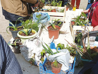 Grainothèque en balade