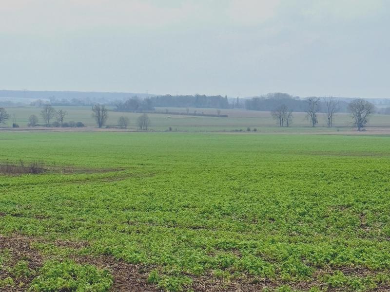 Terrain constructible - 926 m²