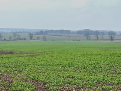 Terrain constructible - 926 m²