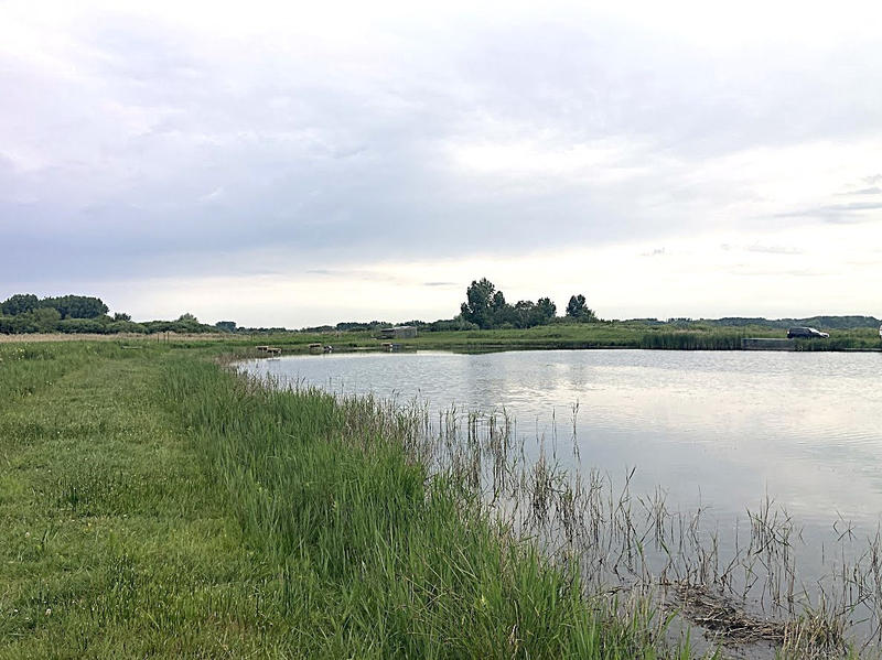 Terrain - 16 950 m²