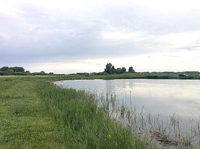 Terrain - 16 950 m²