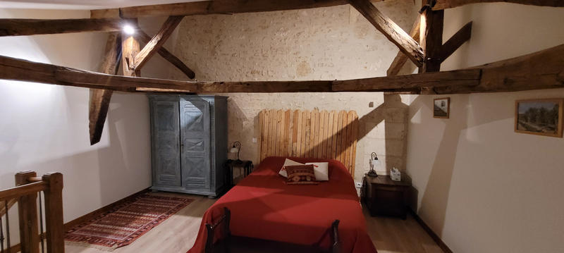 Viager - Maison - 515 m² - 17 pièces