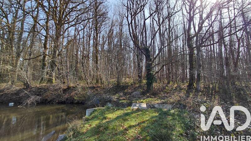 Terrain - 26 701 m²