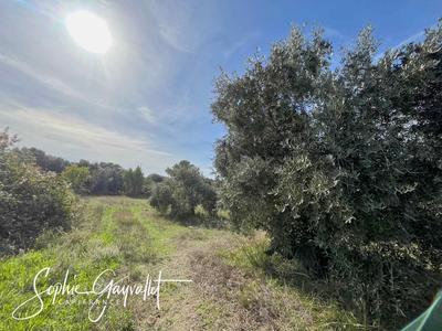 Terrain constructible - 3 000 m²