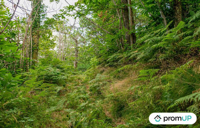 Terrain de loisirs - 5 300 m²