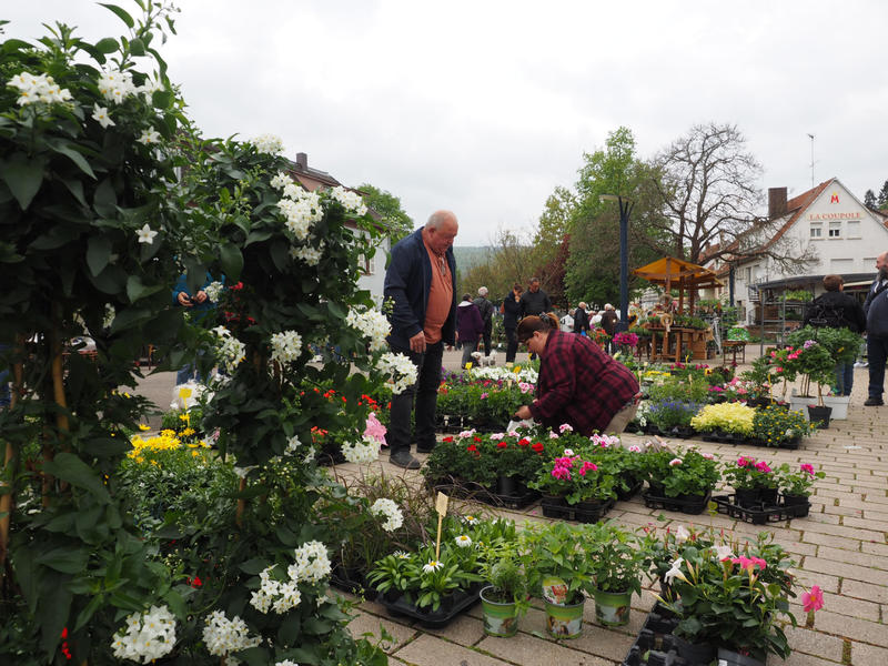 Fête de l'écotourisme