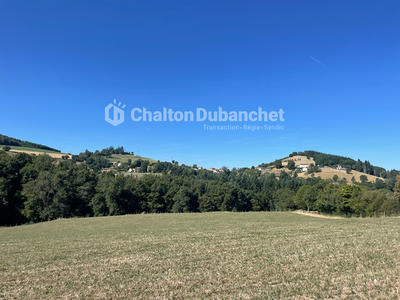 Corps de ferme - 171 m² - 7 pièces