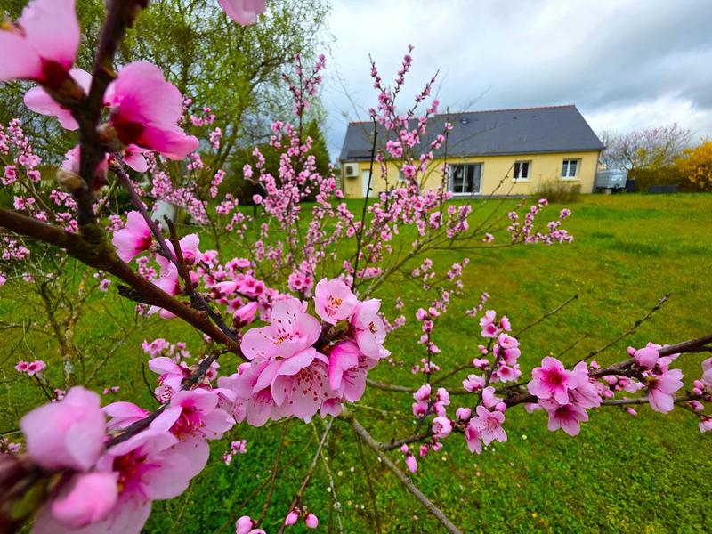 Maison - 140 m² - 8 pièces