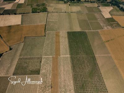 Propriété - 1 110 m² - 35 pièces