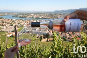 Terrain - 247 635 m²