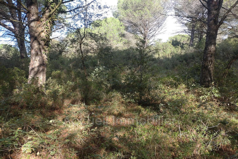 Terrain - 10 000 m²