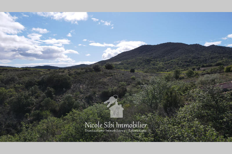 Terrain agricole - 7 030 m²