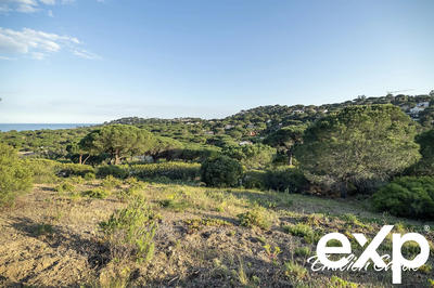 Terrain - 2 270 m²