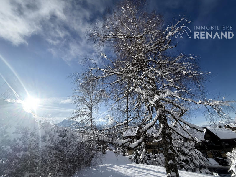 Châlet - 180 m² - 9 pièces