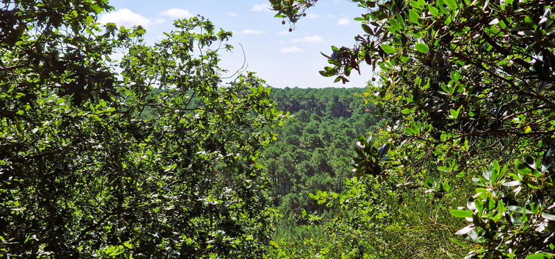 Maison - 190 m² - 8 pièces