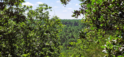 Maison - 190 m² - 8 pièces