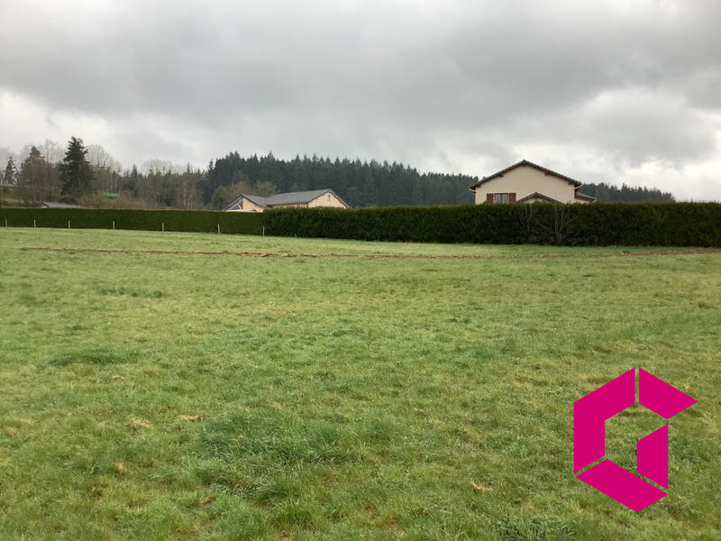 Terrain - 21 360 m²