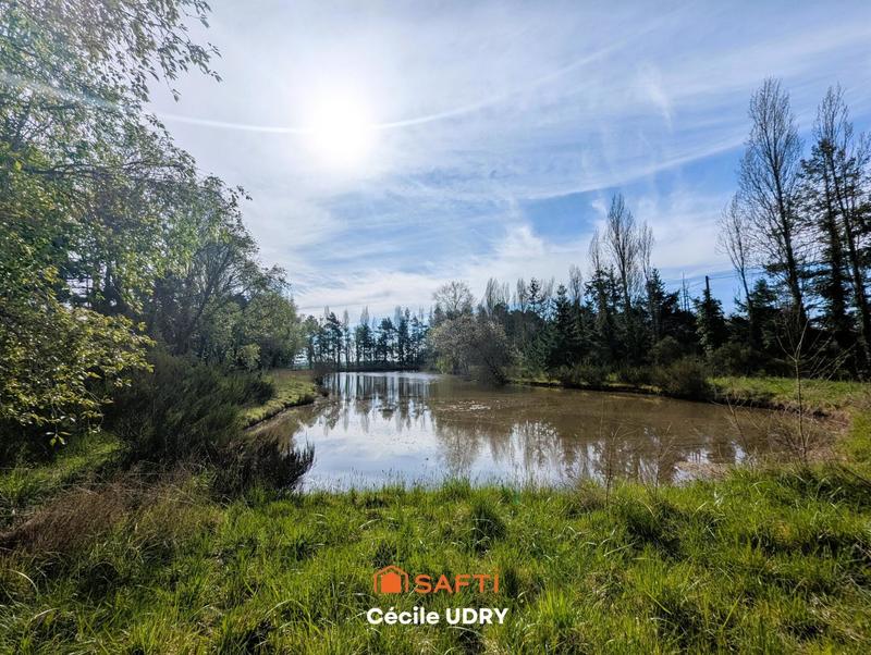 Terrain - 11 472 m²