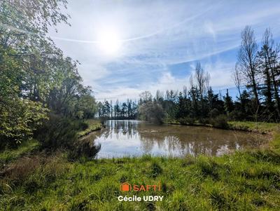 Terrain - 11 472 m²