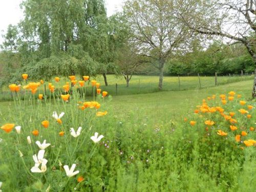 La Closerie des Arts