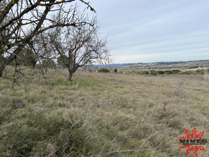 Terrain agricole - 5 915 m²