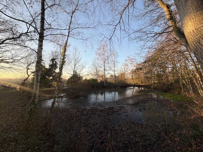 Longère - 124 m² - 7 pièces