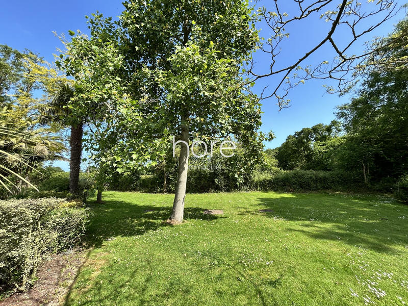 Duplex - 52 m² - 2 pièces