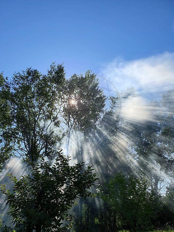 Demeure - 166 m² - 5 pièces