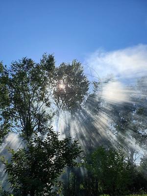 Demeure - 166 m² - 5 pièces