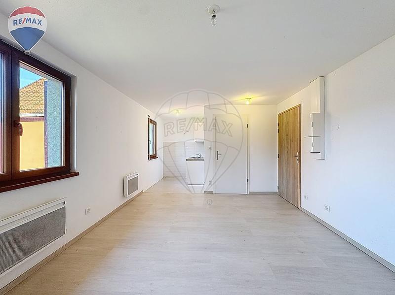 Studio - 24 m² - 1 pièce