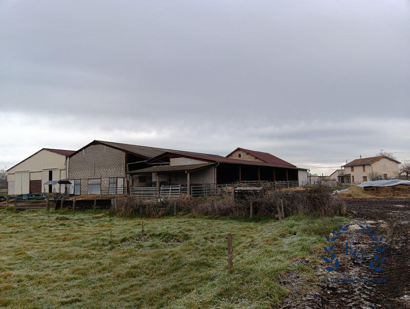 Ferme - 137 m² - 6 pièces