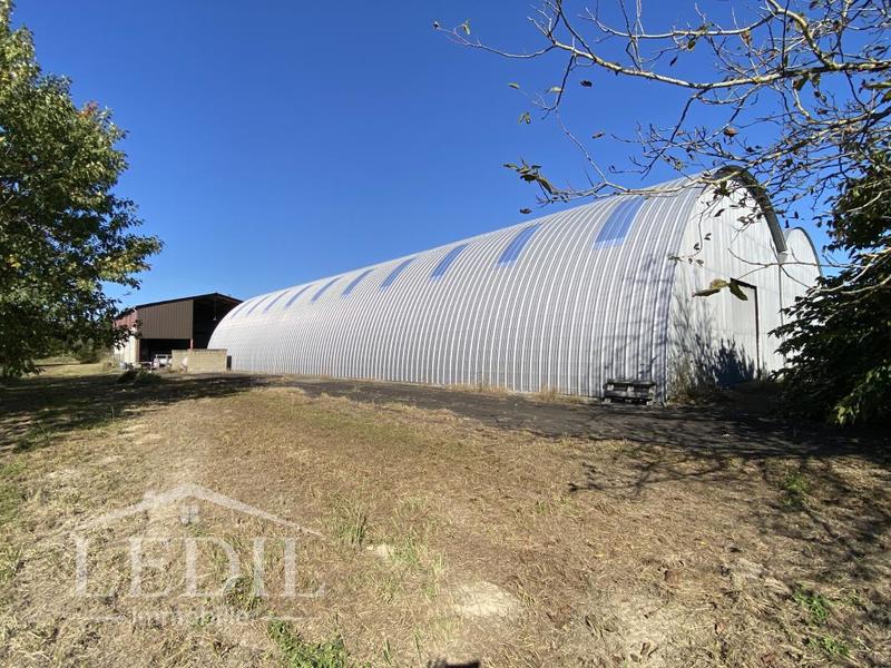 Local commercial - 1 750 m² - 3 pièces