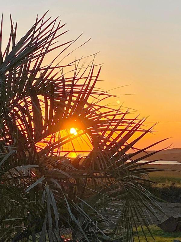 Maison - 220 m² - 6 pièces