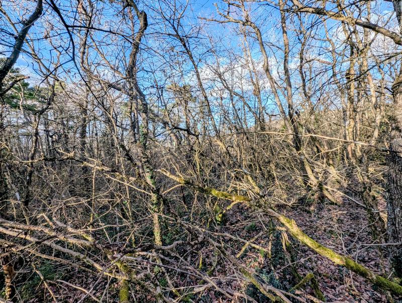 Terrain agricole - 46 750 m²