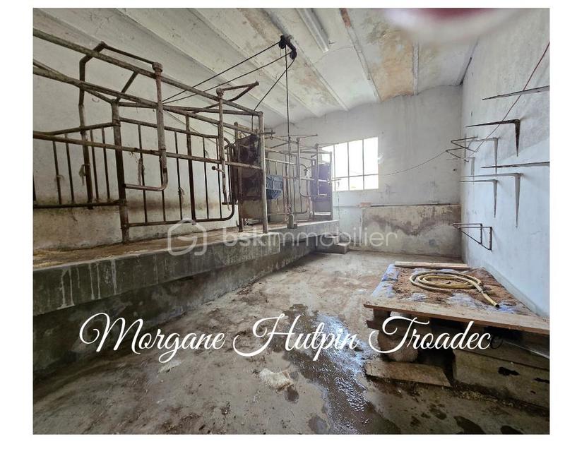 Grange - 250 m² - 1 pièce