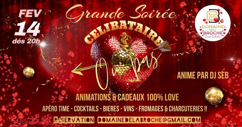 Grande soirée célibataire