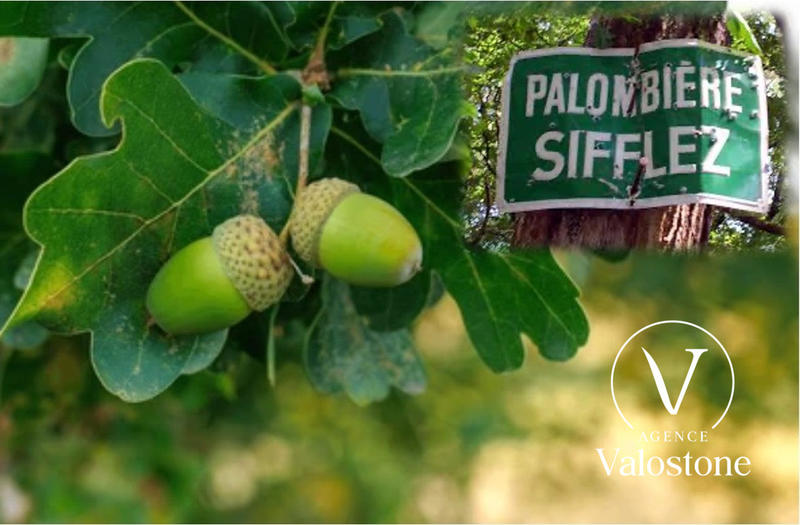 Terrain de loisirs - 60 770 m²