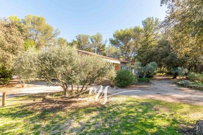 Maison - 300 m² - 15 pièces