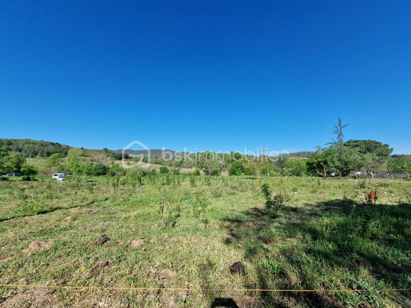 Terrain - 1 377 m²
