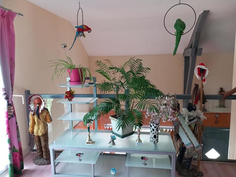 Maison - 179 m² - 6 pièces